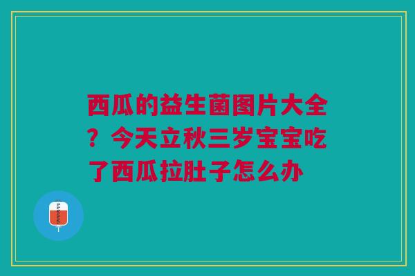 西瓜的益生菌图片大全?今天立秋三岁宝宝吃了西瓜拉肚子怎么办 西瓜的益生菌图片大全?今天立秋三岁宝宝吃了西瓜拉肚子怎么办