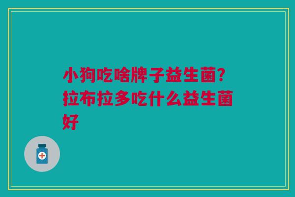 小狗吃啥牌子益生菌?拉布拉多吃什么益生菌好 小狗吃啥牌子益生菌?拉布拉多吃什么益生菌好