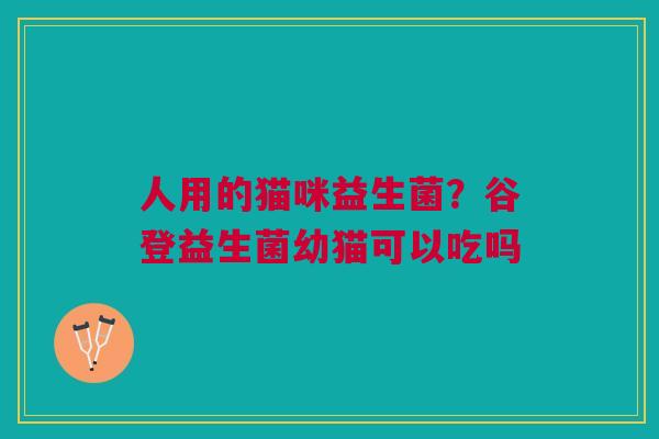 人用的猫咪益生菌？谷登益生菌幼猫可以吃吗