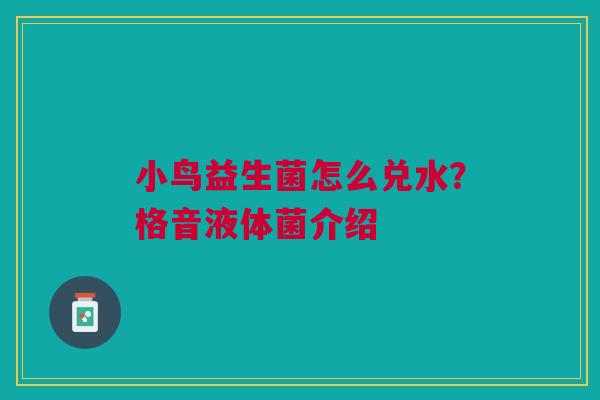 小鸟益生菌怎么兑水？格音液体菌介绍
