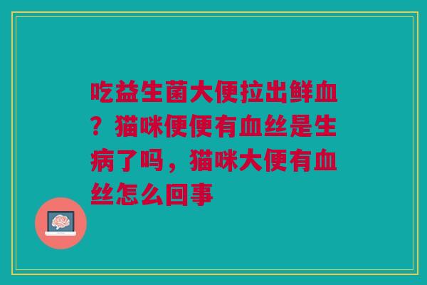 吃益生菌大便拉出鲜血？猫咪便便有血丝是生病了吗，猫咪大便有血丝怎么回事