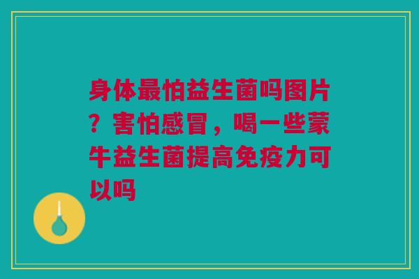 身体怕益生菌吗图片？害怕，喝一些蒙牛益生菌提高力可以吗