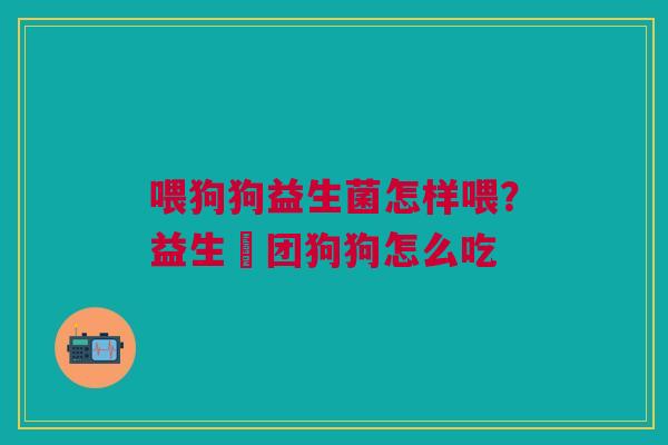 喂狗狗益生菌怎样喂？益生軍团狗狗怎么吃