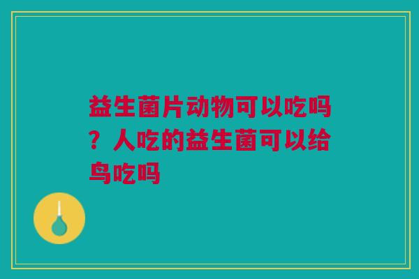 益生菌片动物可以吃吗？人吃的益生菌可以给鸟吃吗