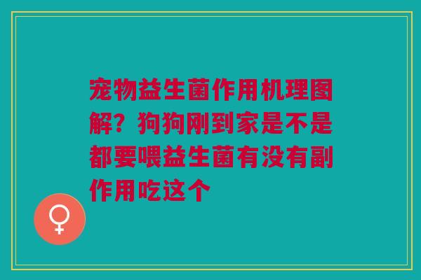 宠物益生菌作用机理图解？狗狗刚到家是不是都要喂益生菌有没有副作用吃这个