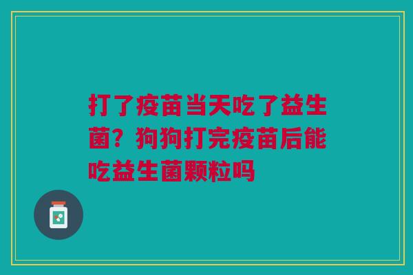 打了疫苗当天吃了益生菌？狗狗打完疫苗后能吃益生菌颗粒吗