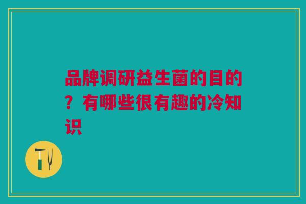 品牌调研益生菌的目的？有哪些很有趣的冷知识