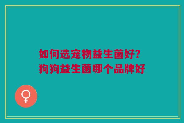 如何选宠物益生菌好？狗狗益生菌哪个品牌好