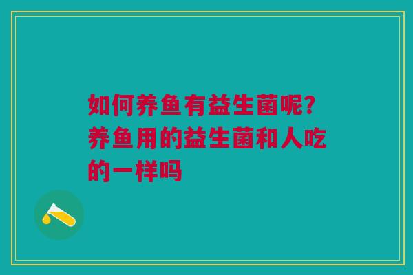 如何养鱼有益生菌呢？养鱼用的益生菌和人吃的一样吗