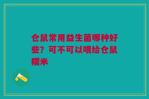 仓鼠常用益生菌哪种好些？可不可以喂给仓鼠糯米