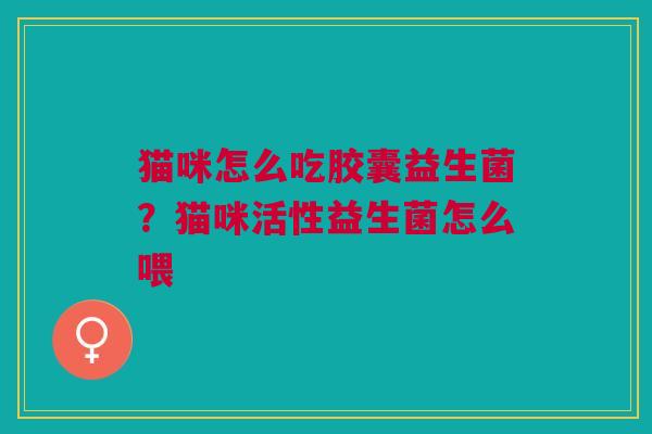 猫咪怎么吃胶囊益生菌？猫咪活性益生菌怎么喂