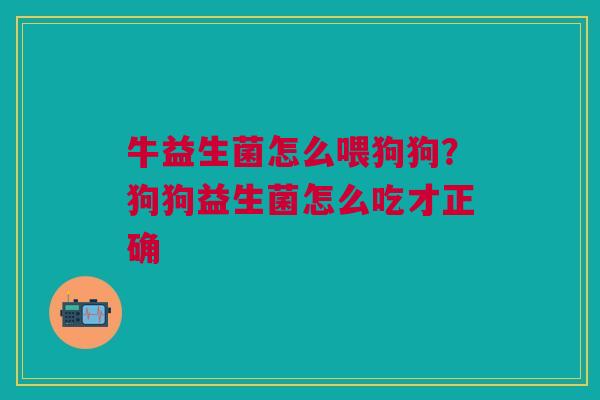 牛益生菌怎么喂狗狗？狗狗益生菌怎么吃才正确