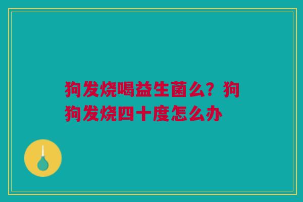 狗发烧喝益生菌么？狗狗发烧四十度怎么办