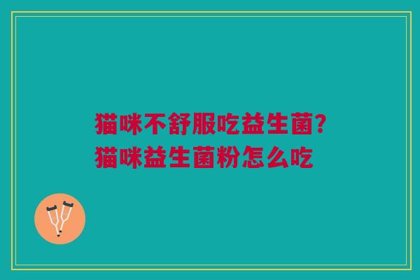 猫咪不舒服吃益生菌？猫咪益生菌粉怎么吃
