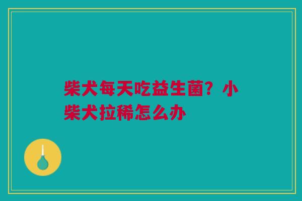 柴犬每天吃益生菌？小柴犬拉稀怎么办