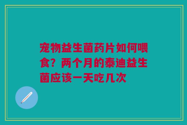 宠物益生菌药片如何喂食？两个月的泰迪益生菌应该一天吃几次