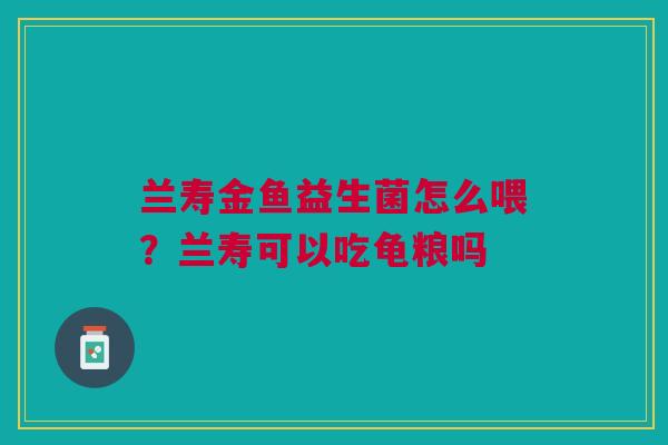 兰寿金鱼益生菌怎么喂？兰寿可以吃龟粮吗