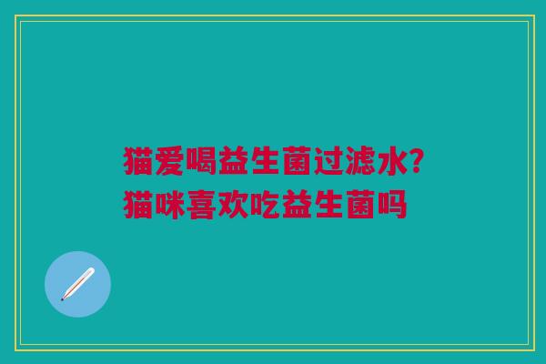 猫爱喝益生菌过滤水？猫咪喜欢吃益生菌吗