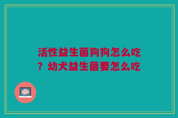 活性益生菌狗狗怎么吃？幼犬益生菌要怎么吃