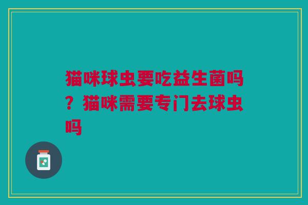 猫咪球虫要吃益生菌吗？猫咪需要专门去球虫吗