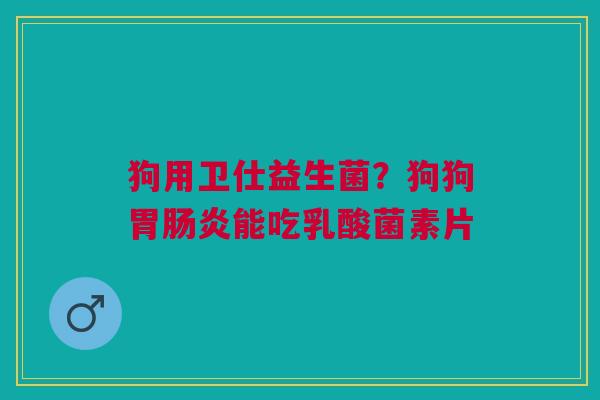 狗用卫仕益生菌？狗狗胃肠炎能吃乳酸菌素片