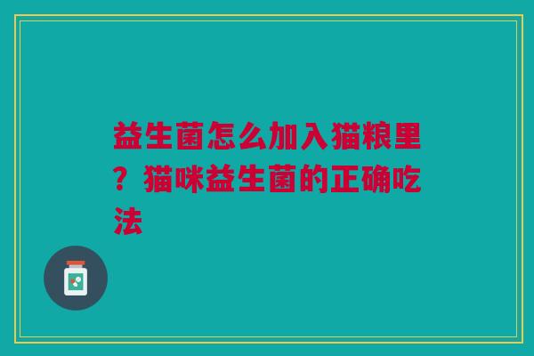 益生菌怎么加入猫粮里？猫咪益生菌的正确吃法