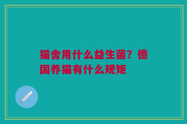 猫舍用什么益生菌？德国养猫有什么规矩
