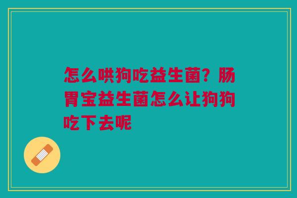 怎么哄狗吃益生菌？肠胃宝益生菌怎么让狗狗吃下去呢