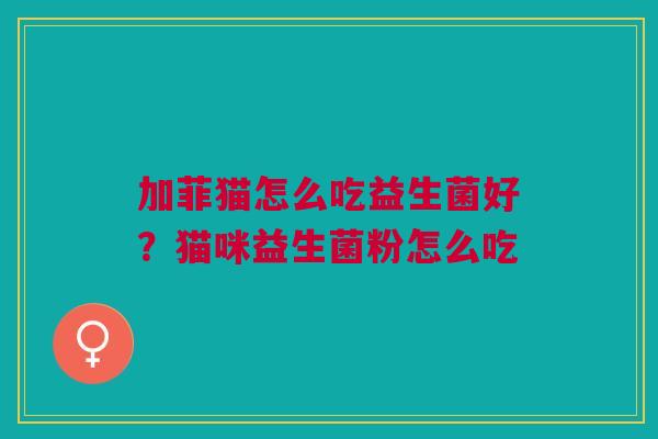 加菲猫怎么吃益生菌好？猫咪益生菌粉怎么吃