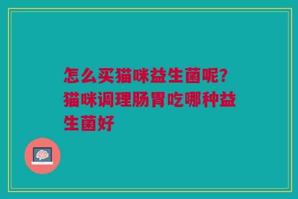 怎么买猫咪益生菌呢？猫咪调理肠胃吃哪种益生菌好