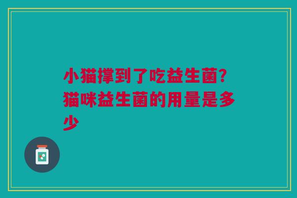 小猫撑到了吃益生菌？猫咪益生菌的用量是多少