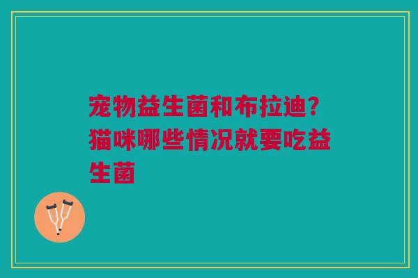 宠物益生菌和布拉迪？猫咪哪些情况就要吃益生菌