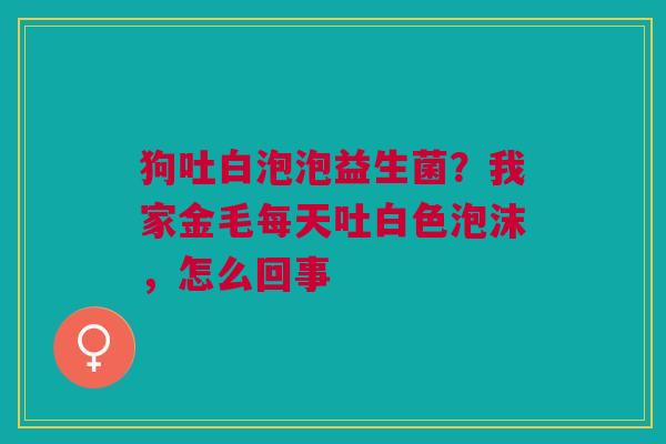 狗吐白泡泡益生菌？我家金毛每天吐白色泡沫，怎么回事
