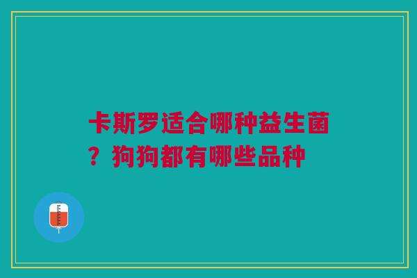 卡斯罗适合哪种益生菌？狗狗都有哪些品种