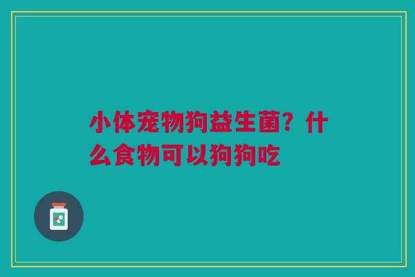 小体宠物狗益生菌？什么食物可以狗狗吃