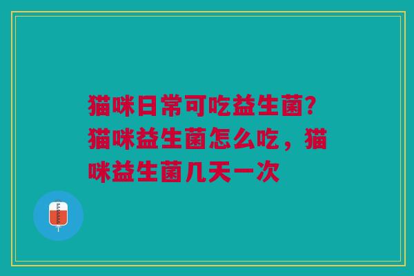 猫咪日常可吃益生菌？猫咪益生菌怎么吃，猫咪益生菌几天一次