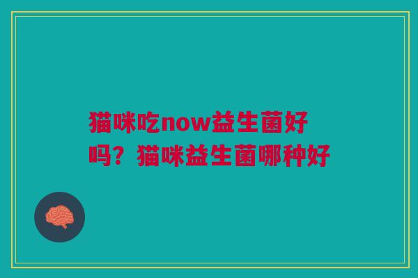 猫咪吃now益生菌好吗？猫咪益生菌哪种好