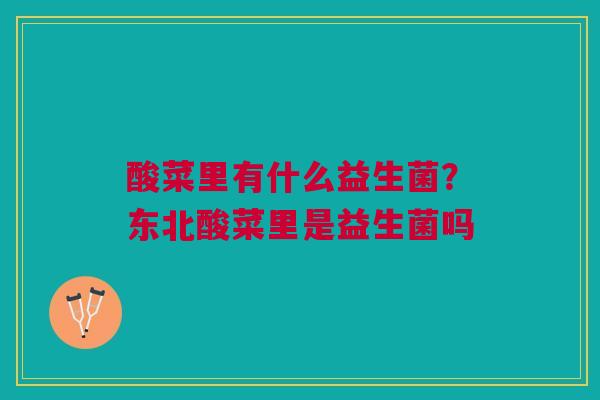酸菜里有什么益生菌？东北酸菜里是益生菌吗