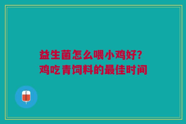 益生菌怎么喂小鸡好？鸡吃青饲料的最佳时间