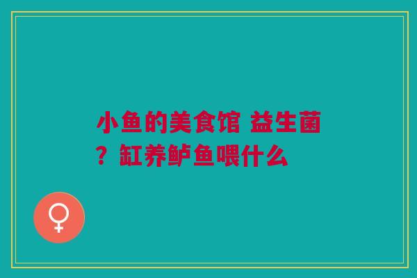 小鱼的美食馆 益生菌？缸养鲈鱼喂什么