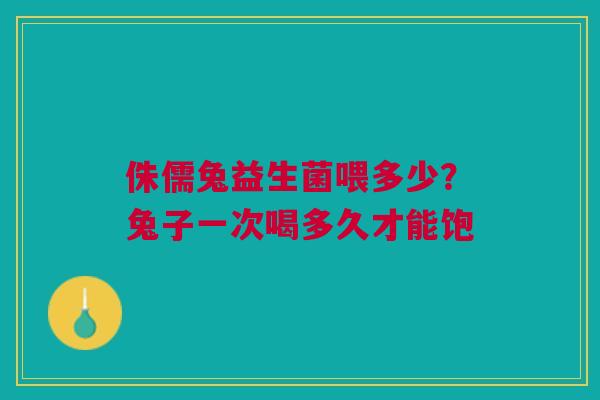 侏儒兔益生菌喂多少？兔子一次喝多久才能饱