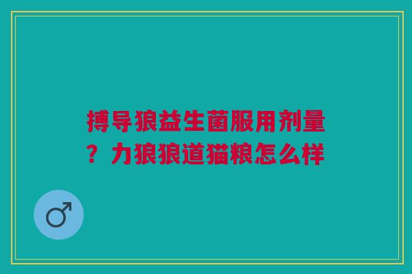 搏导狼益生菌服用剂量？力狼狼道猫粮怎么样