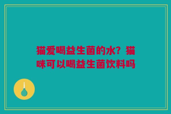 猫爱喝益生菌的水？猫咪可以喝益生菌饮料吗