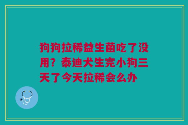 狗狗拉稀益生菌吃了没用？泰迪犬生完小狗三天了今天拉稀会么办