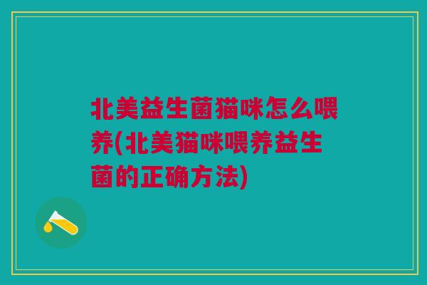 北美益生菌猫咪怎么喂养(北美猫咪喂养益生菌的正确方法)