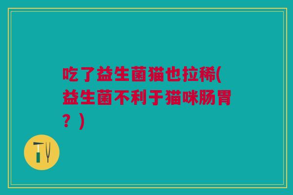 吃了益生菌猫也拉稀(益生菌不利于猫咪肠胃?)