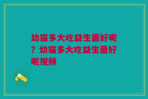 幼猫多大吃益生菌好呢？幼猫多大吃益生菌好呢视频