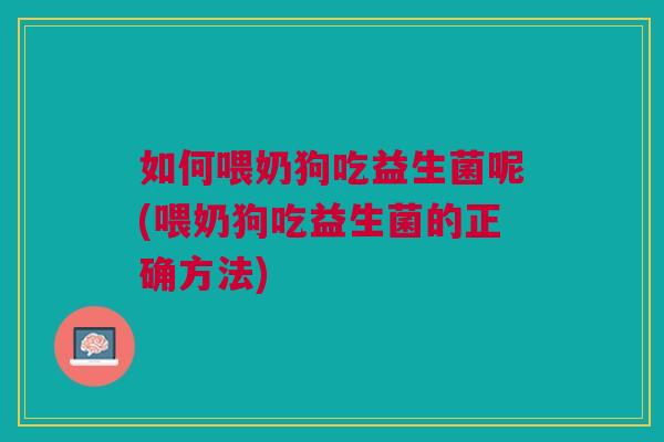 如何喂奶狗吃益生菌呢(喂奶狗吃益生菌的正确方法)
