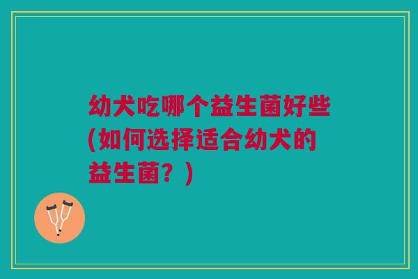 幼犬吃哪个益生菌好些(如何选择适合幼犬的益生菌？)