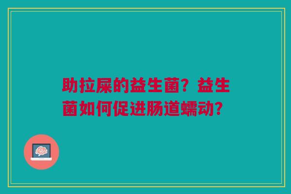 助拉屎的益生菌？益生菌如何促进肠道蠕动？